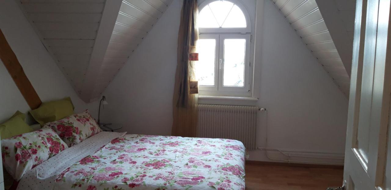 Ferienwohnung Stein Am Rhein Nahe Bahnhof Und Rhein المظهر الخارجي الصورة